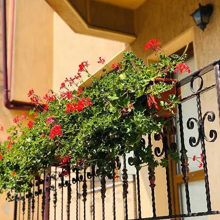 Apartament Central Apartman Konstanca