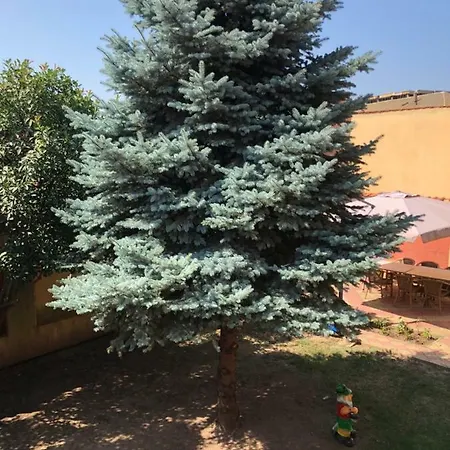 Apartament Central Konstanca